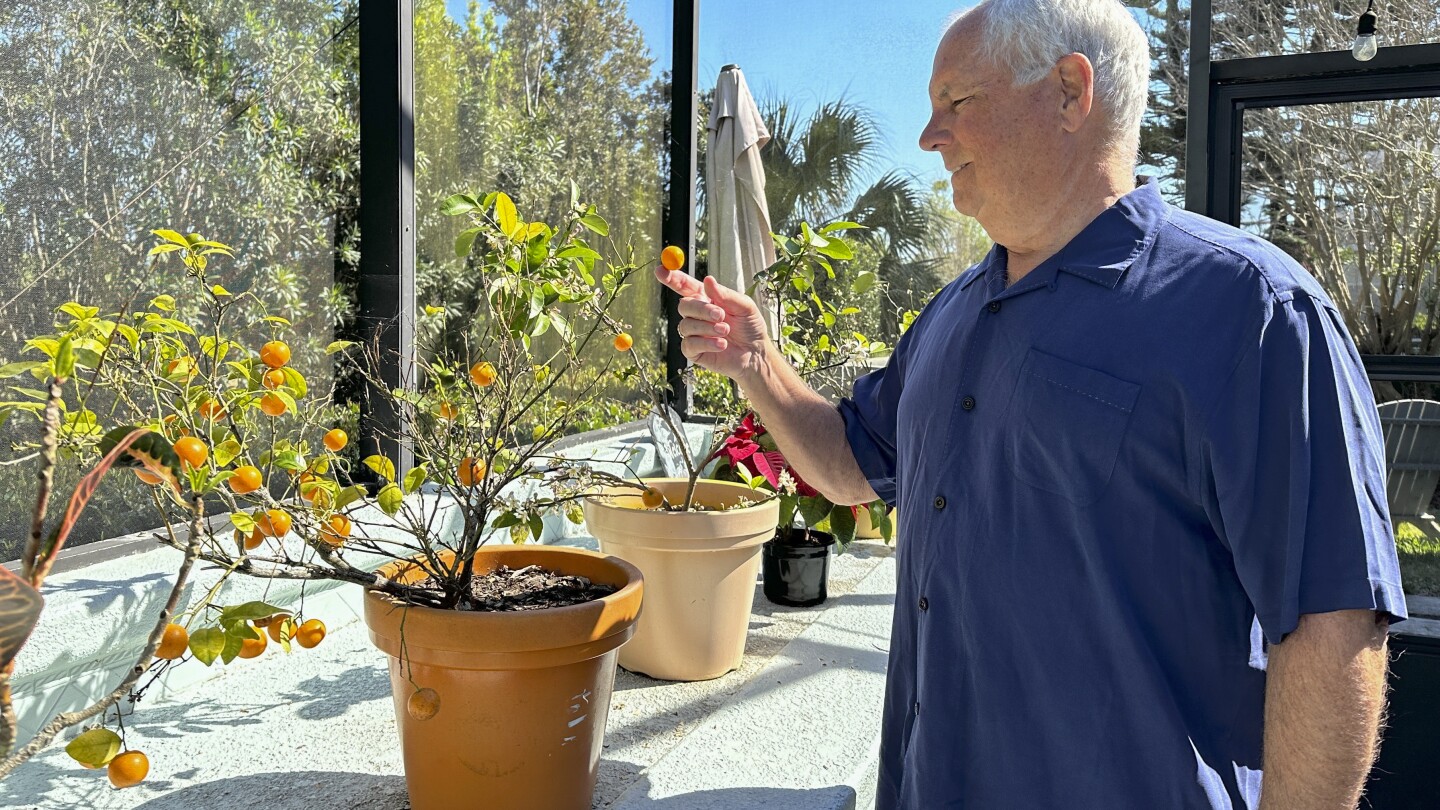 How a touristy Florida beach town became a top US remote work hub