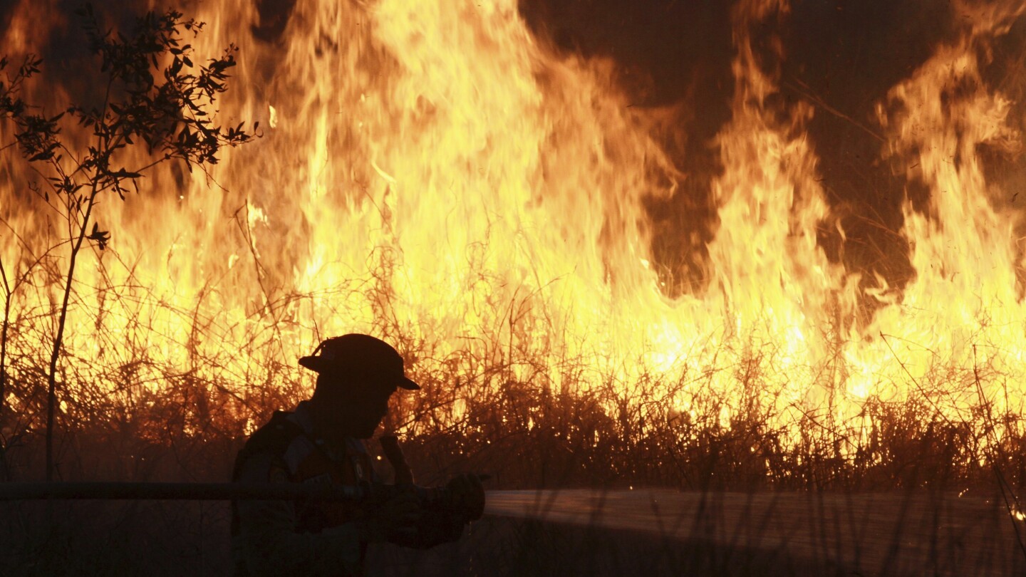 Forest fire haze from Indonesia detected in Malaysia