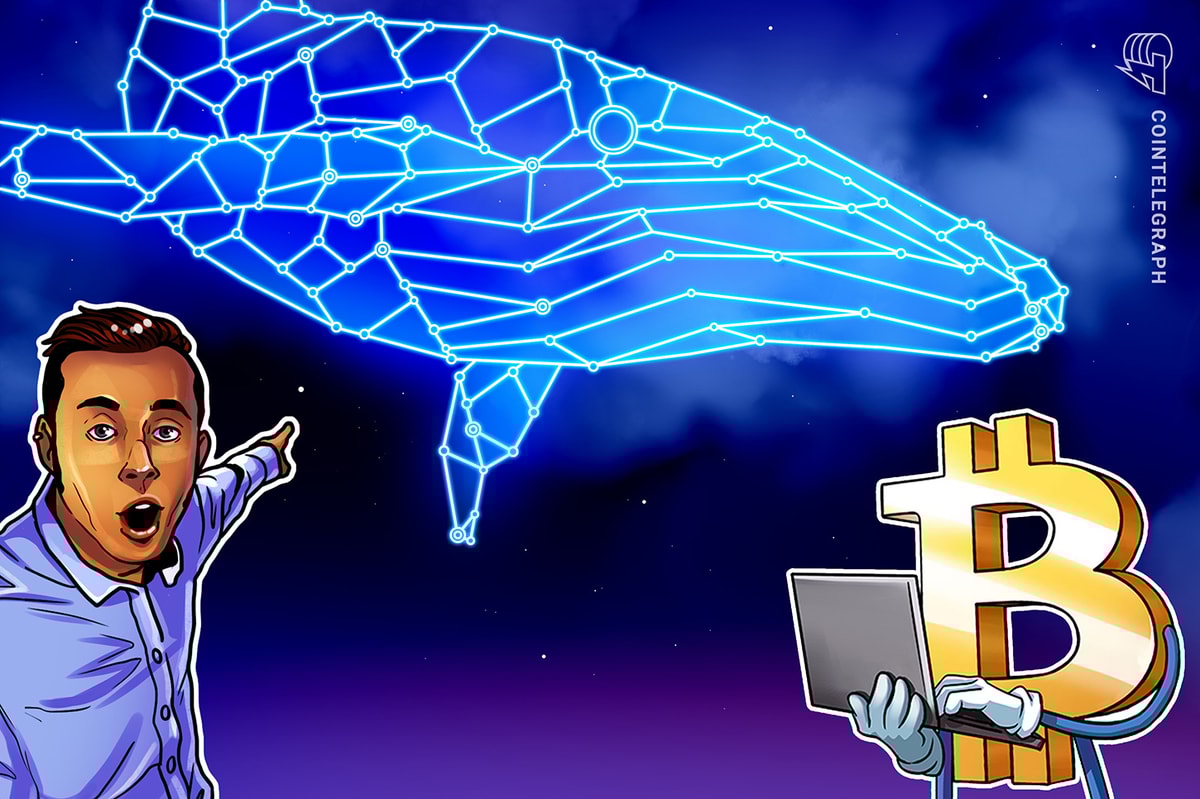 ‘Insider’ Whale Moves $588M in Bitcoin, Sparking BTC Drop Fears