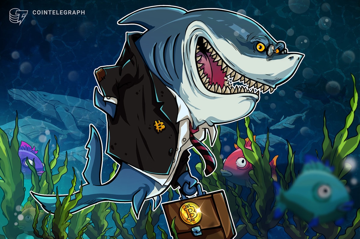 Bitcoin Was a Firm ‘Buy’ For Sharks Last Week, New Data Shows