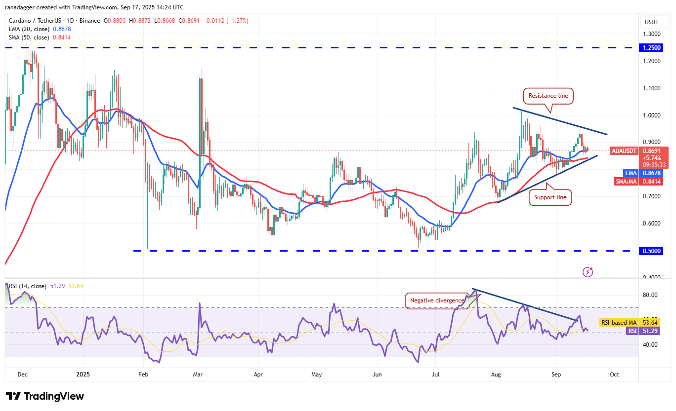 Dogecoin, Cryptocurrencies, Federal Reserve, Bitcoin Price, XRP, Markets, Cryptocurrency Exchange, Interest Rate, Tom Lee, Cardano, Price Analysis, Binance Coin, Chainlink, Fundstrat, Market Analysis, Ether Price, Solana, SUI