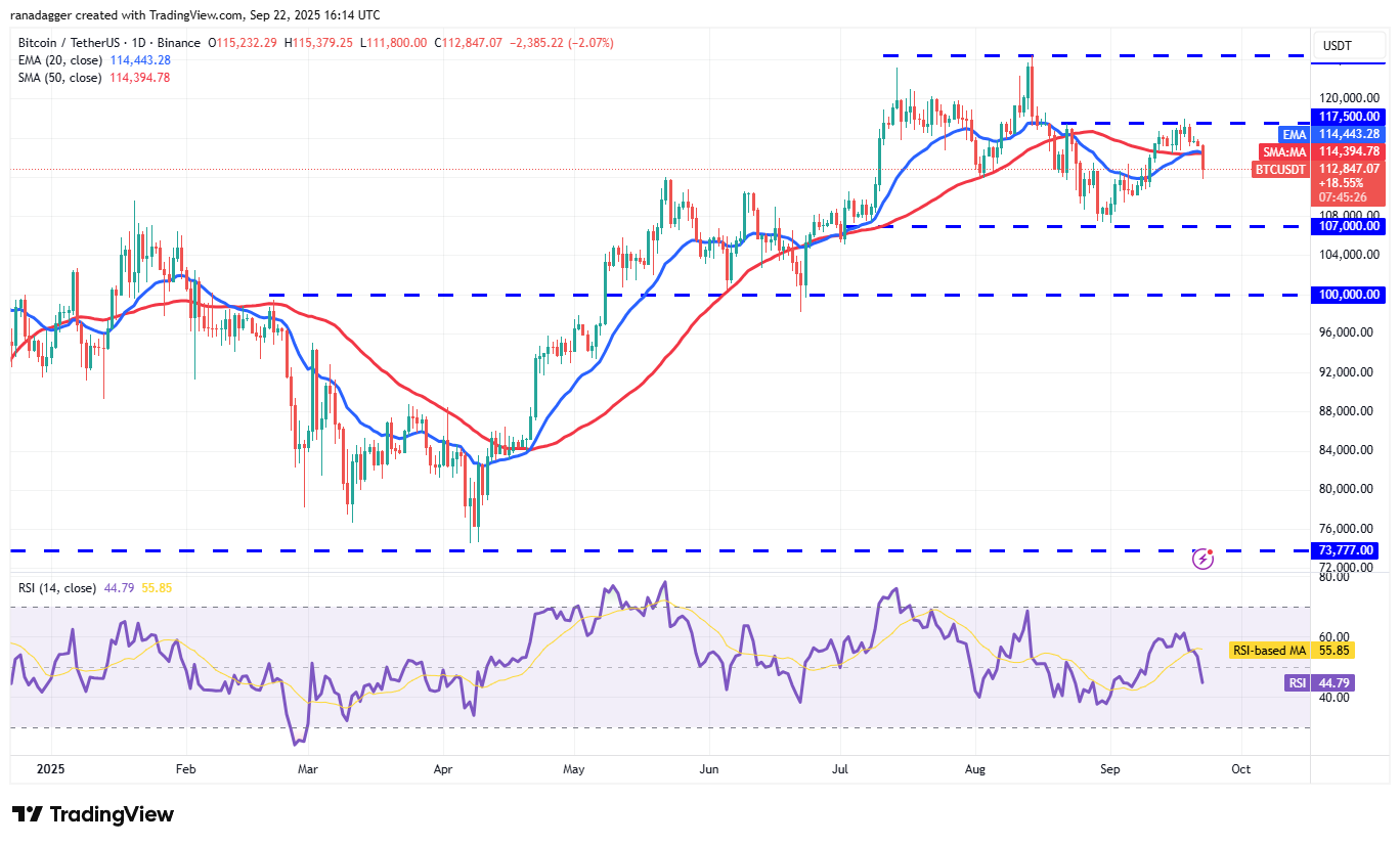 Dogecoin, Cryptocurrencies, Federal Reserve, Dollar, Bitcoin Price, XRP, Markets, United States, Cryptocurrency Exchange, Interest Rate, Cardano, Price Analysis, Binance Coin, Market Analysis, Ether Price, Solana, S&P 500