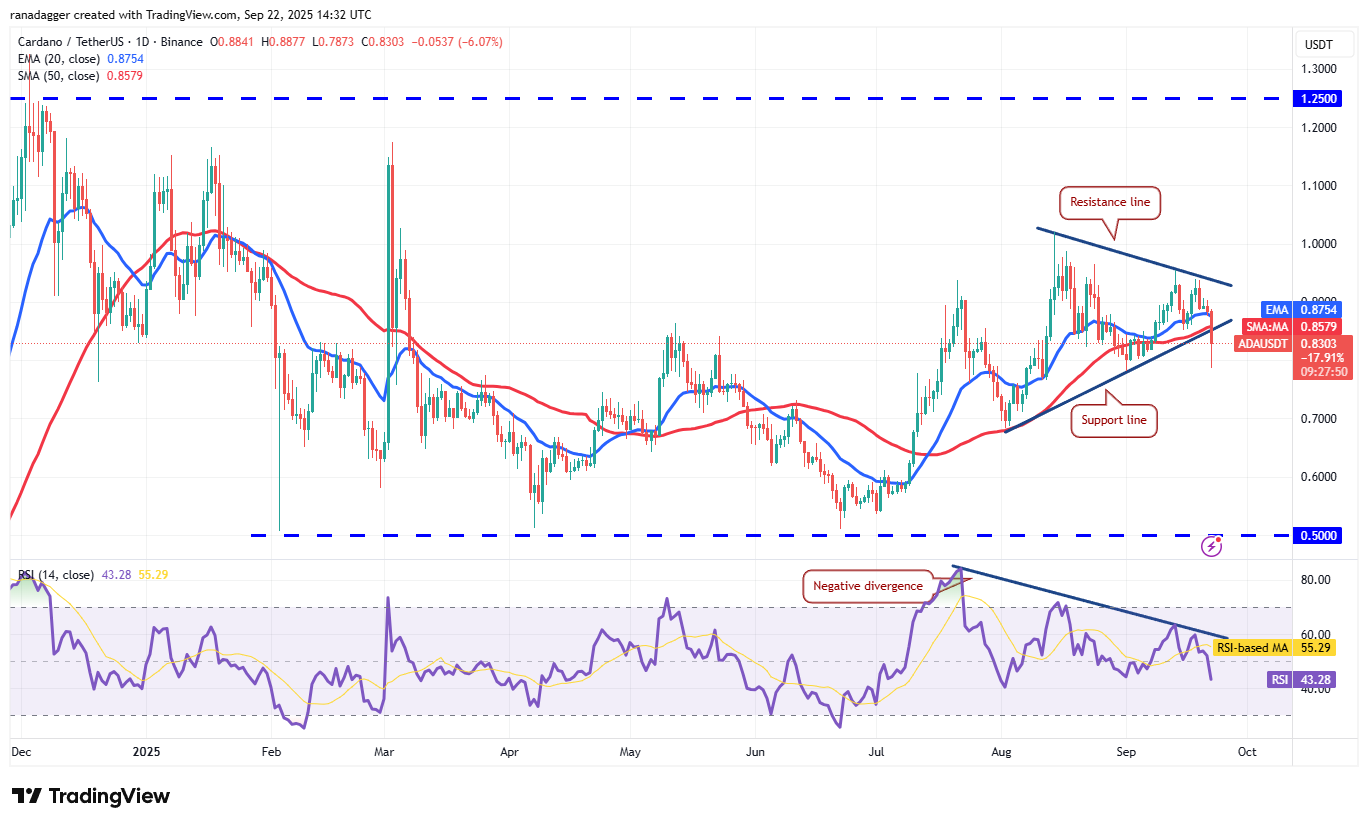 Dogecoin, Cryptocurrencies, Federal Reserve, Dollar, Bitcoin Price, XRP, Markets, United States, Cryptocurrency Exchange, Interest Rate, Cardano, Price Analysis, Binance Coin, Market Analysis, Ether Price, Solana, S&P 500