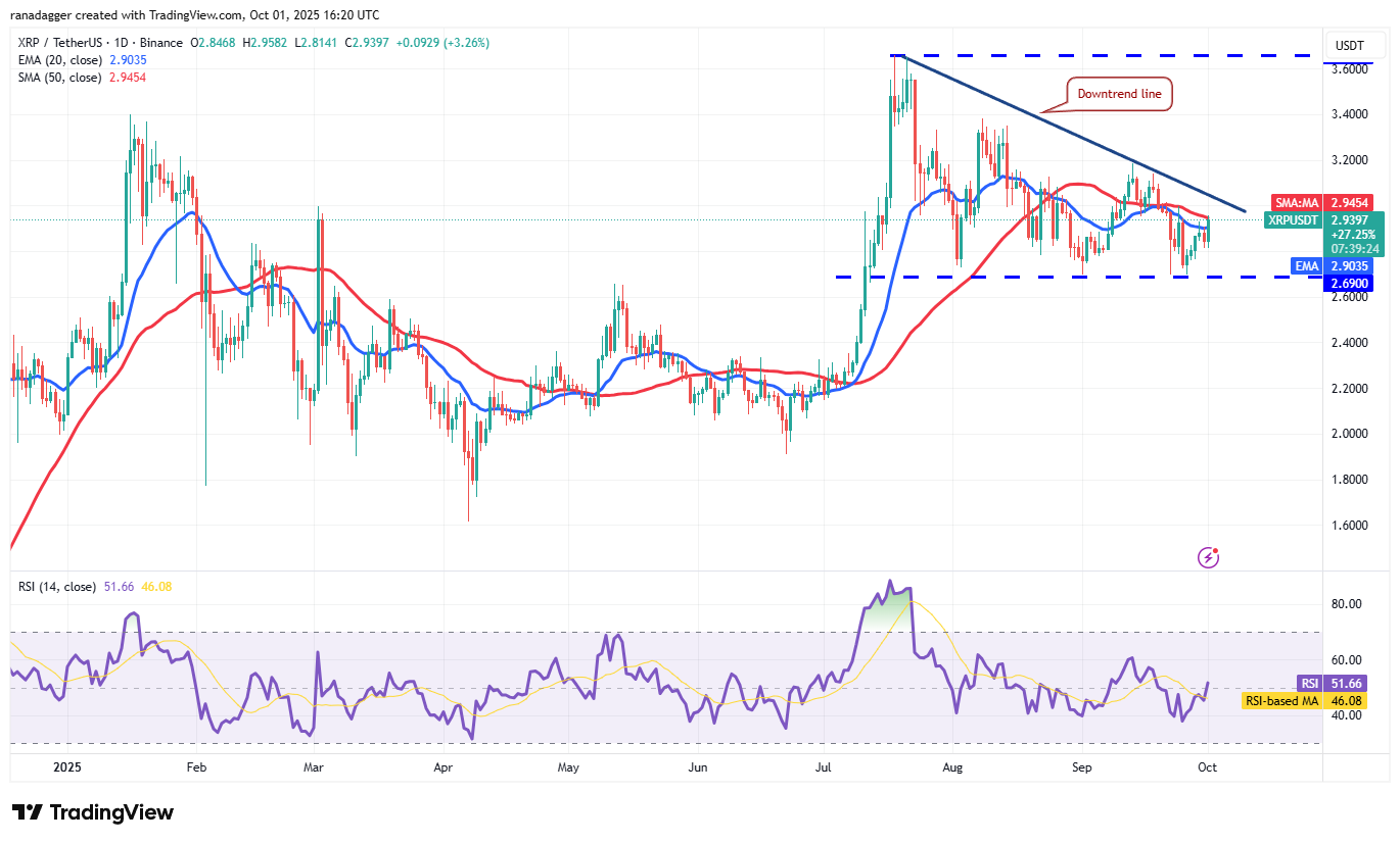 Dogecoin, Cryptocurrencies, Gold, Bitcoin Price, XRP, Cryptocurrency Exchange, Cardano, Price Analysis, Binance Coin, Chainlink, Market Analysis, Ether Price, Solana, Avalanche