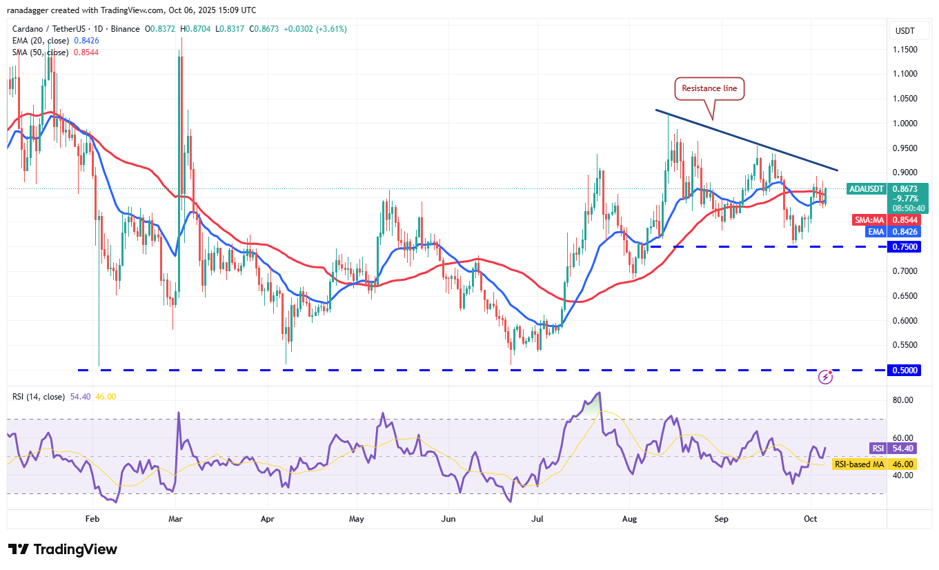 Wall Street, Dogecoin, Cryptocurrencies, Dollar, Banks, Gold, Bitcoin Price, XRP, Markets, United States, Cryptocurrency Exchange, Citi, Price Analysis, Binance Coin, Market Analysis, Ether Price, Solana, S&P 500, Bitcoin ETF, ETF