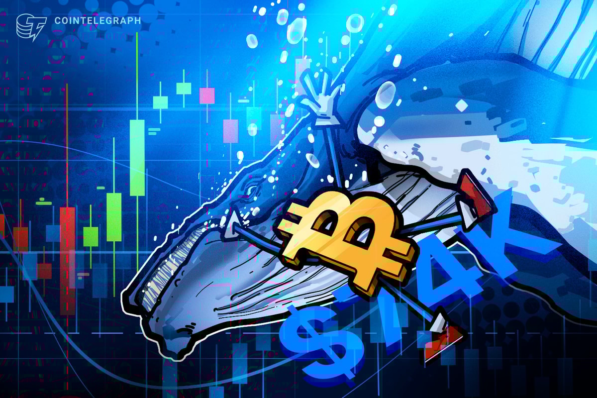 Bitcoin Price Eyes Drop to $74K as Whale Opens Another $140M BTC Short