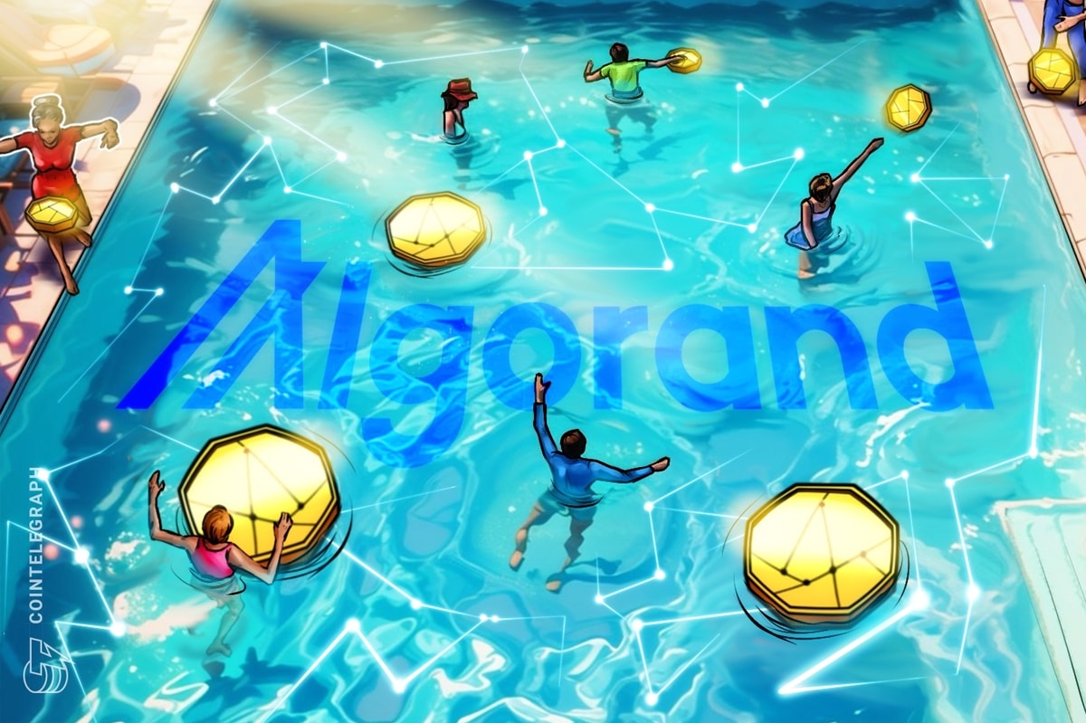 The onchain stress test that brought over 50K users to a layer-1 network