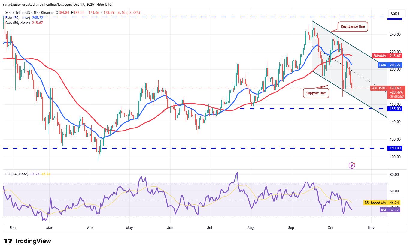 Dogecoin, Cryptocurrencies, Banks, Stellar, Bitcoin Price, XRP, Markets, United States, Cryptocurrency Exchange, Cardano, Price Analysis, Chainlink, Market Analysis, Ether Price, Solana, BNB