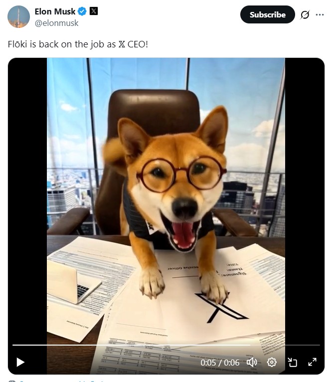 Dogecoin, Elon Musk, Memecoin