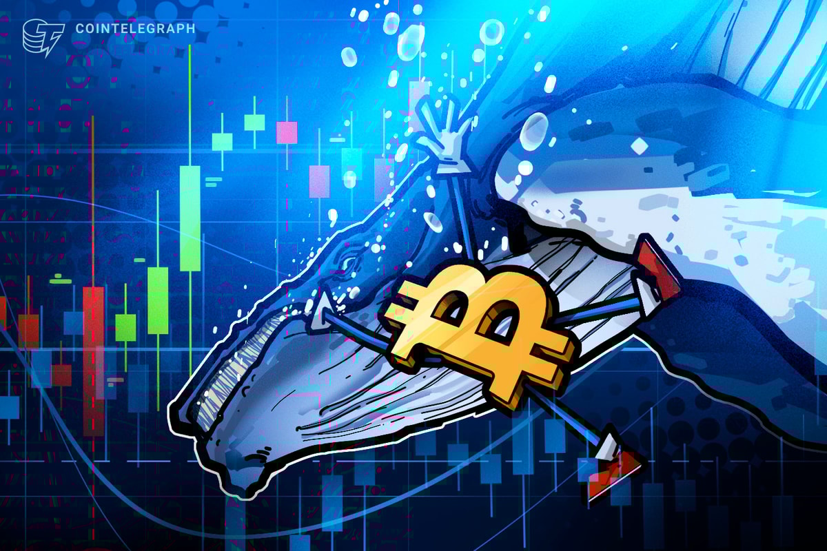 $11B Bitcoin Whale Shorts Bitcoin for $235M, Nets $200M In Market Crash