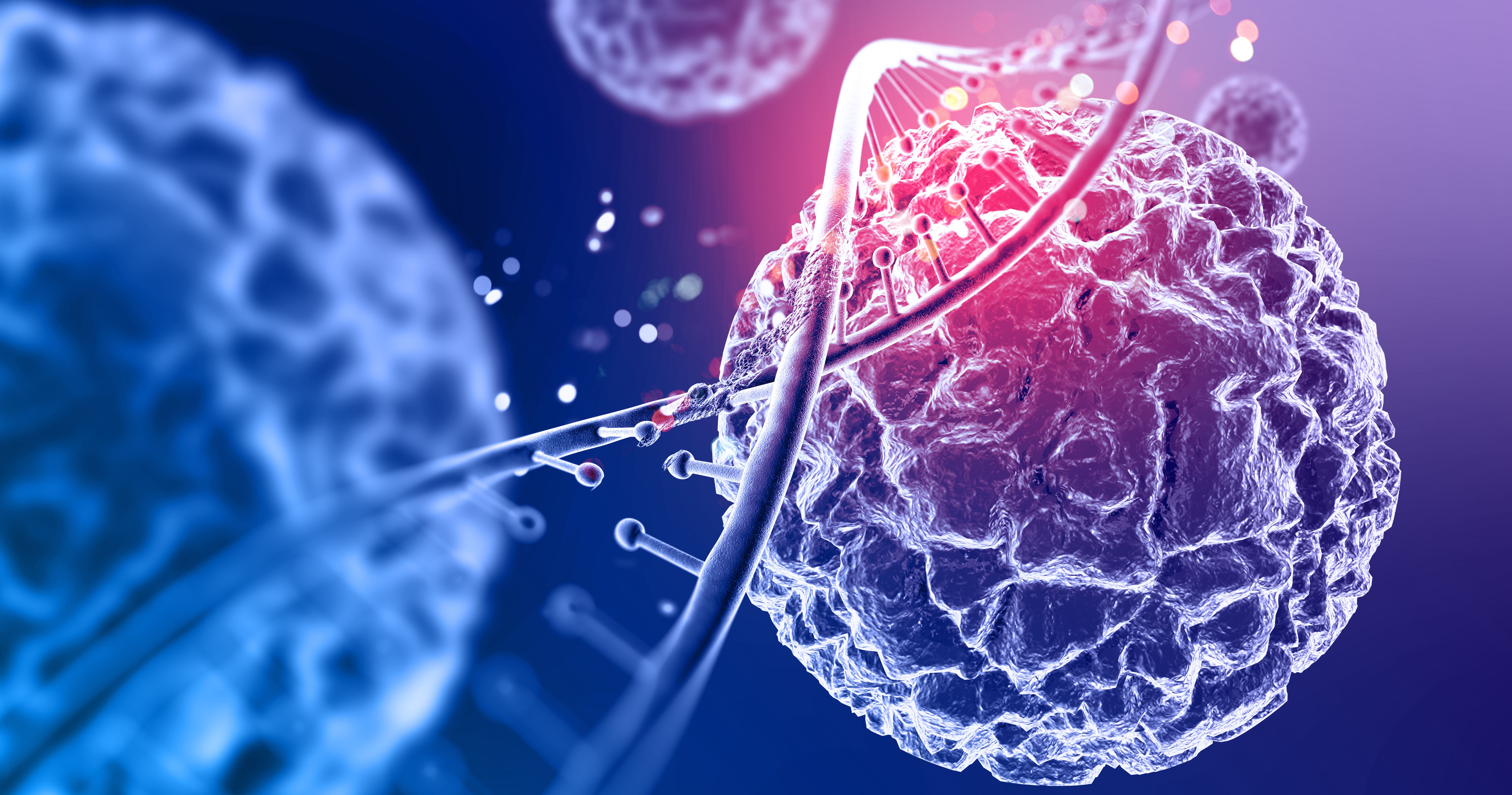 <br />
<b>Warning</b>:  Undefined variable $myimgalt in <b>/www/wwwroot/brfastnews.com/wp-content/themes/ennews001/single.php</b> on line <b>213</b><br />
